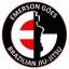 Emerson da Silva Góes