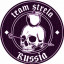 Strela Team (official)