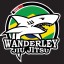 Wanderley Jiu Jitsu Brasil